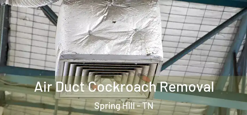  Air Duct Cockroach Removal Spring Hill - TN