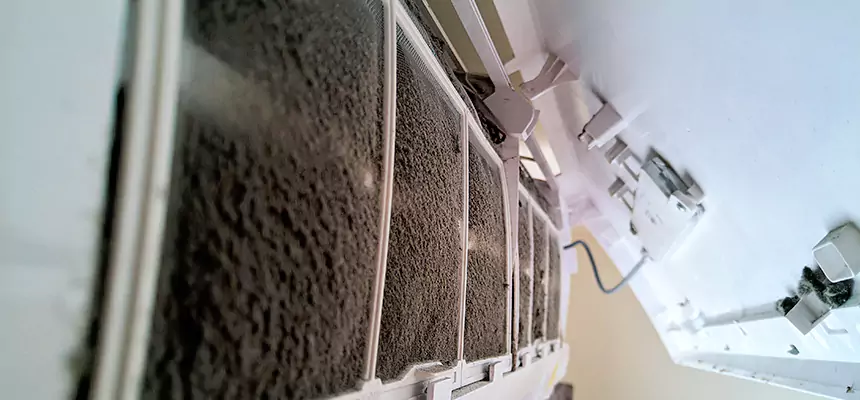 Preventive Air Duct Bacteria Removal in Spring Hill