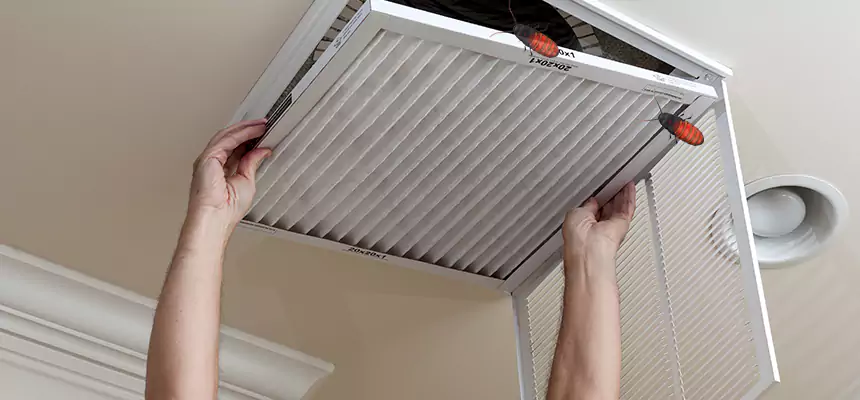 Our Insect Removal from Air Ducts Services in Spring Hill, TN
