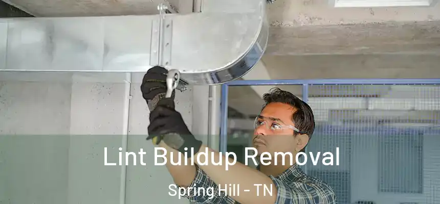  Lint Buildup Removal Spring Hill - TN