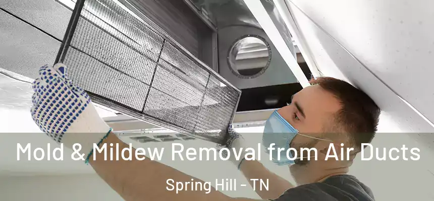  Mold & Mildew Removal from Air Ducts Spring Hill - TN
