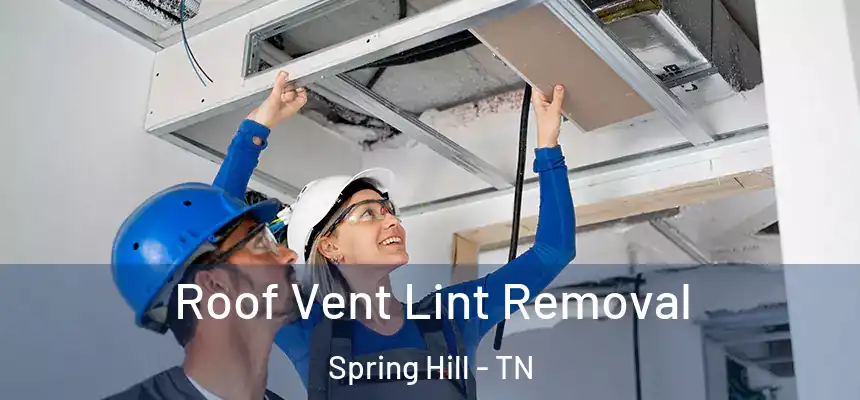  Roof Vent Lint Removal Spring Hill - TN