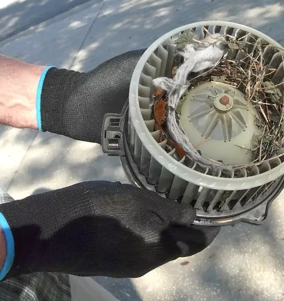 About Air Duct Mice Removal in Spring Hill, TN