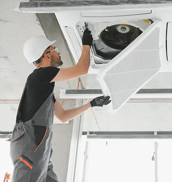 About Air Duct Rodent Removal in Spring Hill, TN