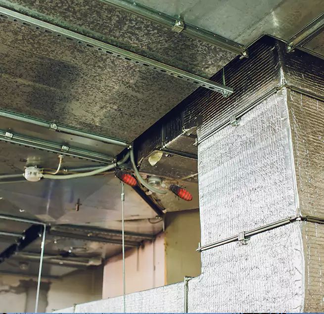 Why Homeowners & Businesses Trust Us in Spring Hill, TN?